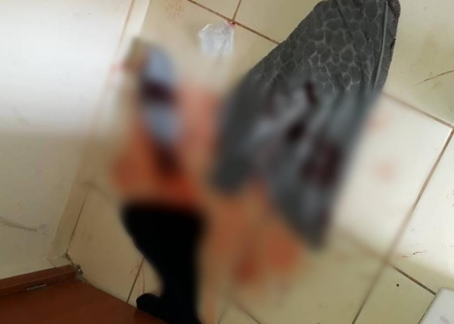 Mulher é presa após esfaquear o marido em legítima defesa
