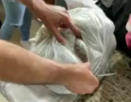 Mulher coloca barriga falsa de grávida para esconder 6kg de maconha, no RS