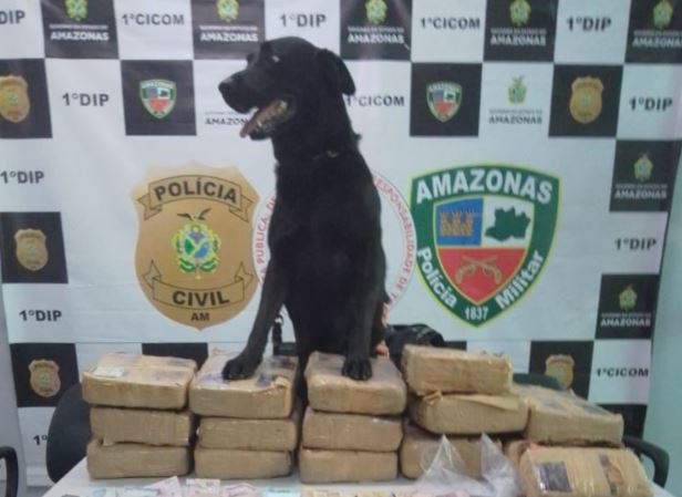 Policial canina auxilia na prisão de dois homens por tráfico de drogas em Manaus