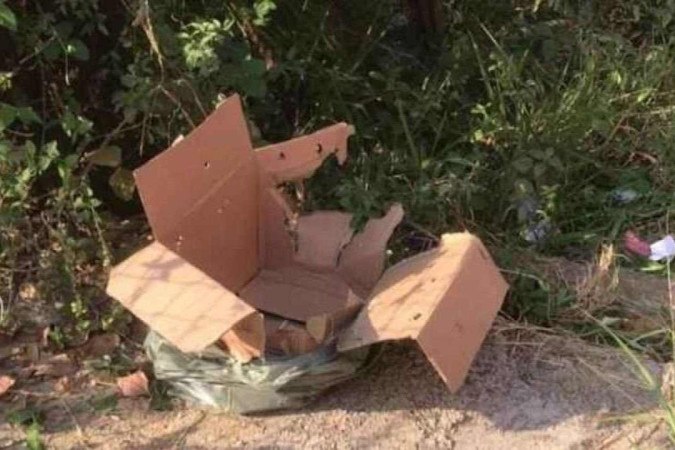 Bebê recém-nascida é encontrada dentro de caixa de papelão na estrada de Iranduba