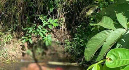 Corpo de homem é encontrado desovado em igarapé no Mauazinho, em Manaus