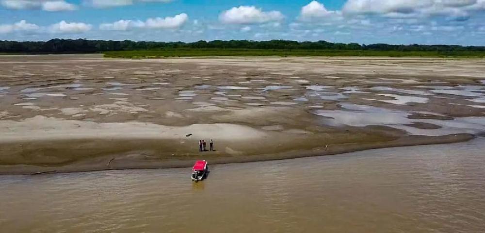 Estiagem: 297 mil pessoas são afetadas pela seca no Amazonas, segundo o governo