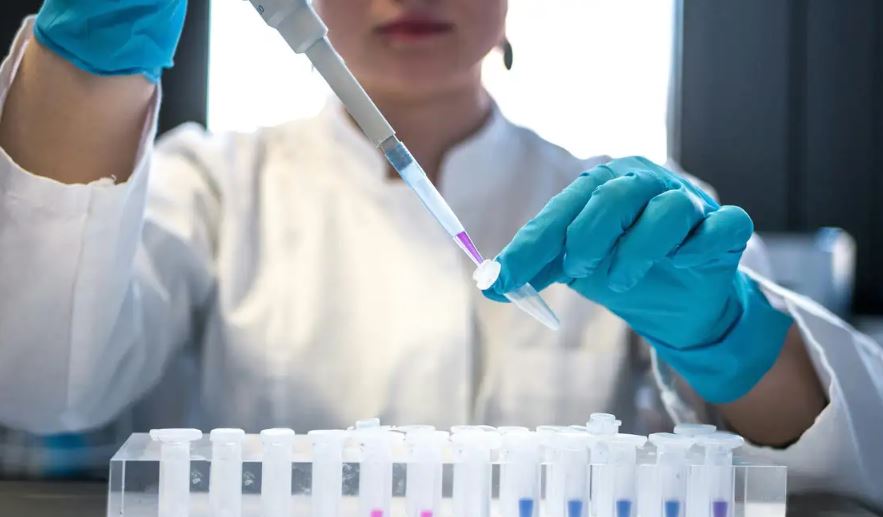 Brasil é o terceiro colocado na participação feminina na ciência