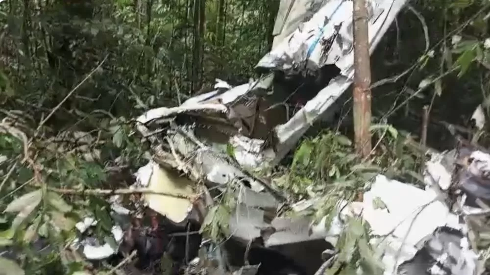 Força Aérea encontra destroços de avião que caiu em Manicoré
