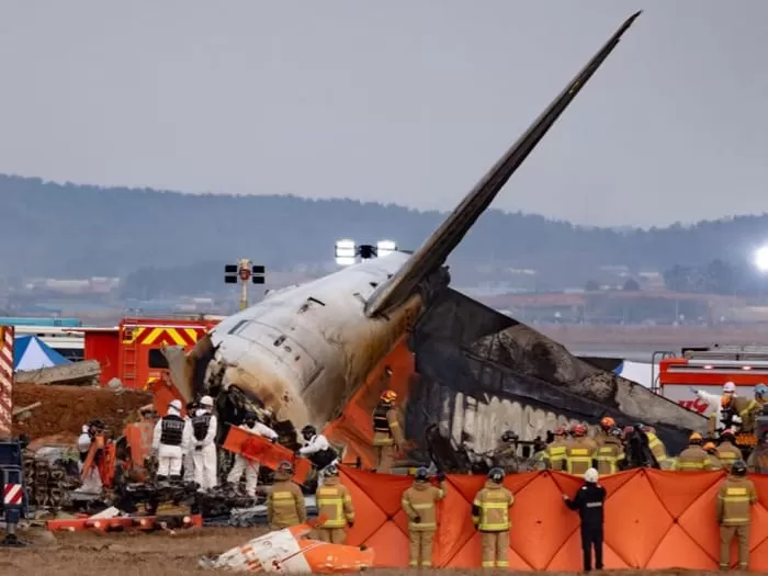 Avião foi alertado sobre risco de colisão com pássaros na Coreia do Sul