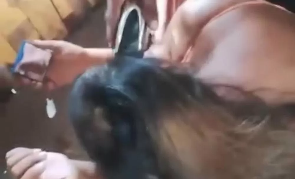 Após traição, homem raspa cabelo da mulher como punição no AM; veja vídeo