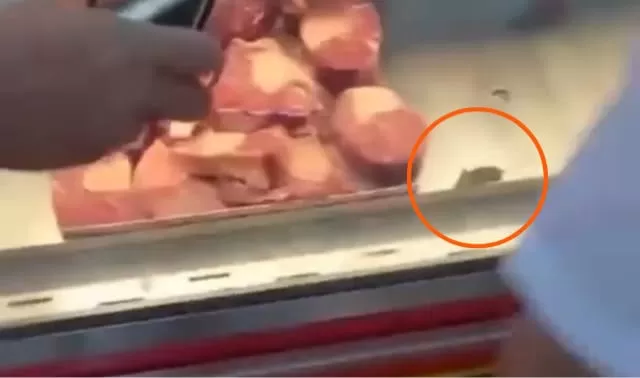 Rato é flagrado passeando entre as carnes de supermercado em Manaus; veja vídeo