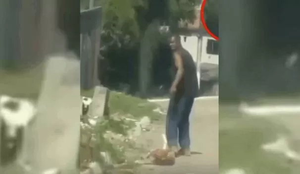 Homem arrasta cachorro com as patas amarradas; veja vídeo