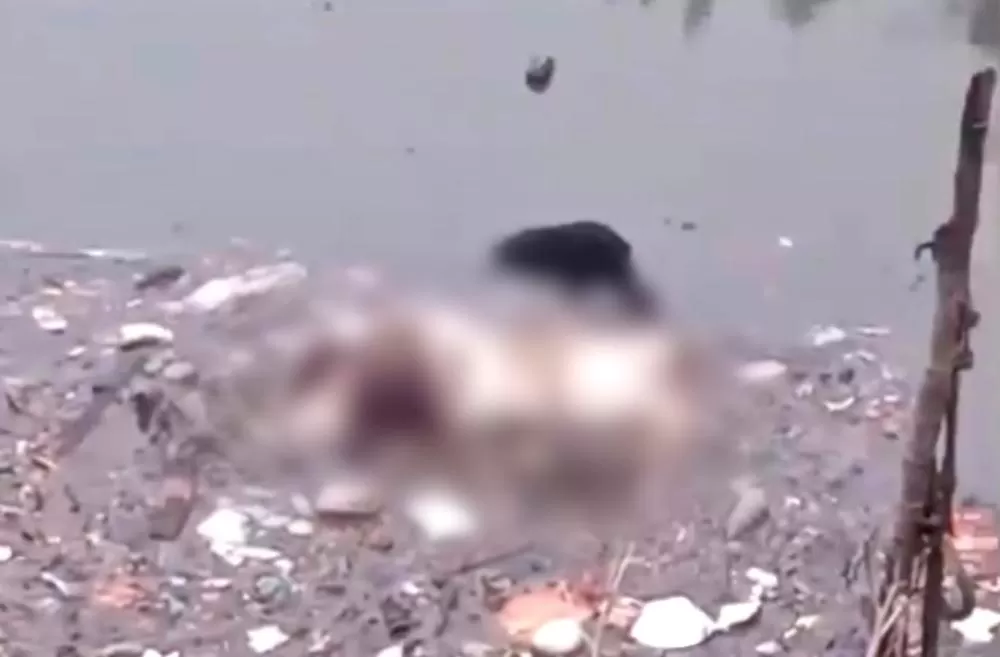 Corpo em estado de putrefação é encontrado dentro de igarapé no São Jorge