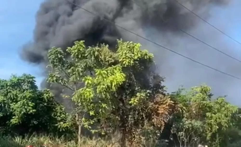 Incêndio atinge área de vegetação no Distrito Industrial em Manaus