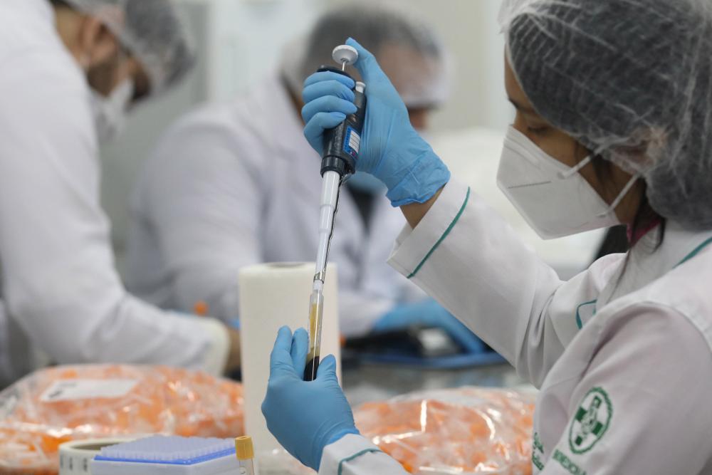 UEA monta laboratório para estudo da CovacManaus