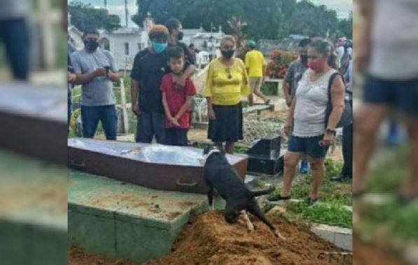Cão ajoelhado se despede de seu dono à beira da cova