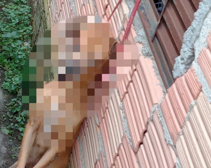 Homem mata cão de vizinho e pendura na janela 