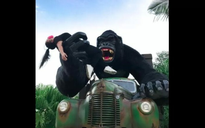 Criança cai de atração no Beto Carrero World e fica em estado grave