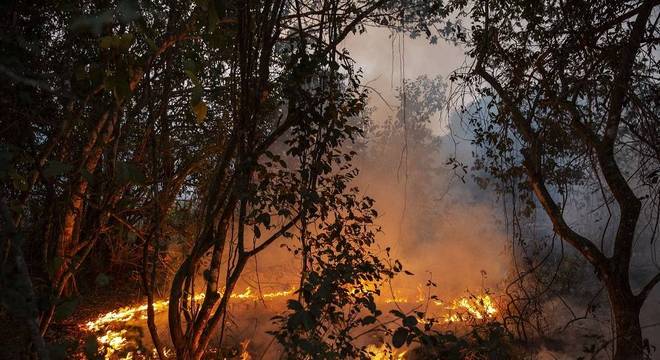 Perícia diz que incêndio no Pantanal mato-grossense foi intencional